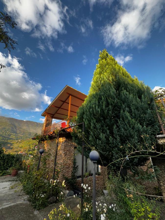 Ballkon Turi Tirana Exterior photo